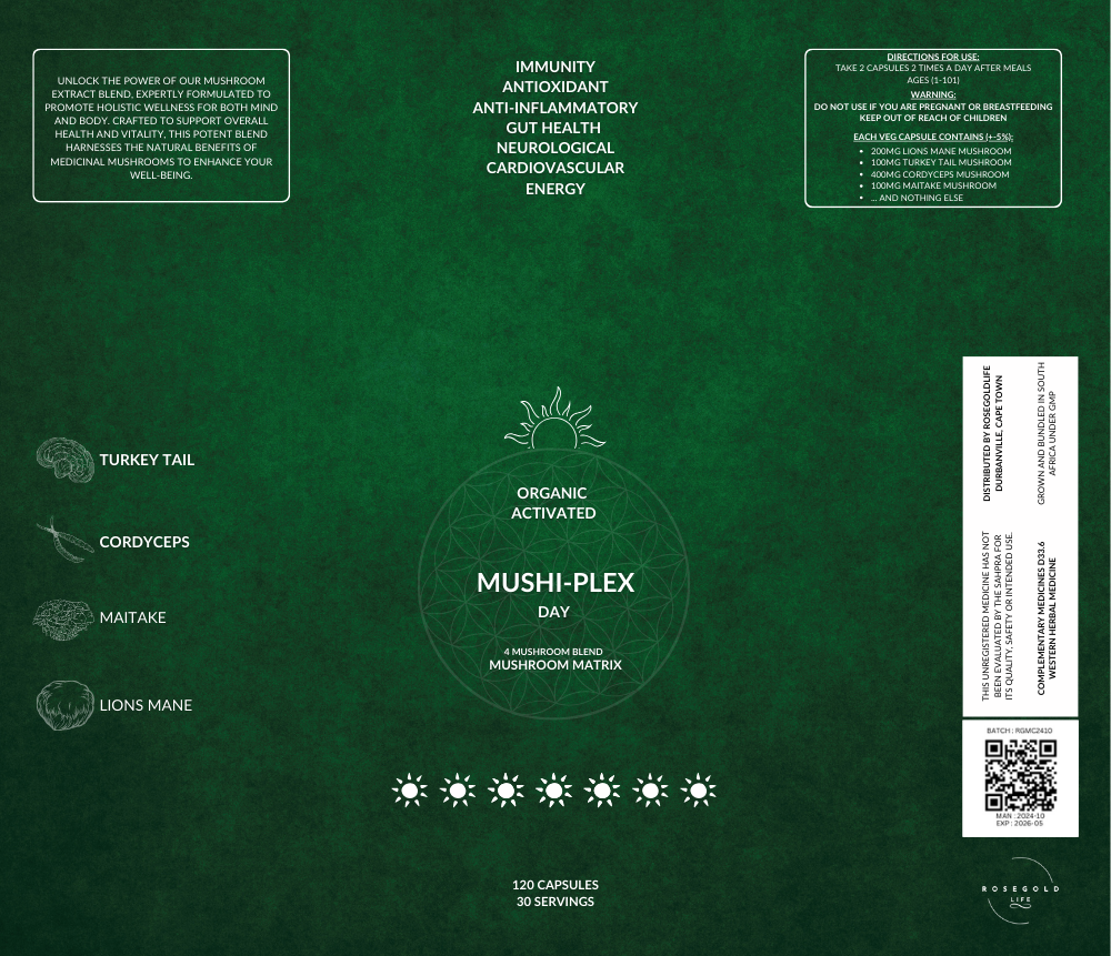 Day Time Mushi-Complex