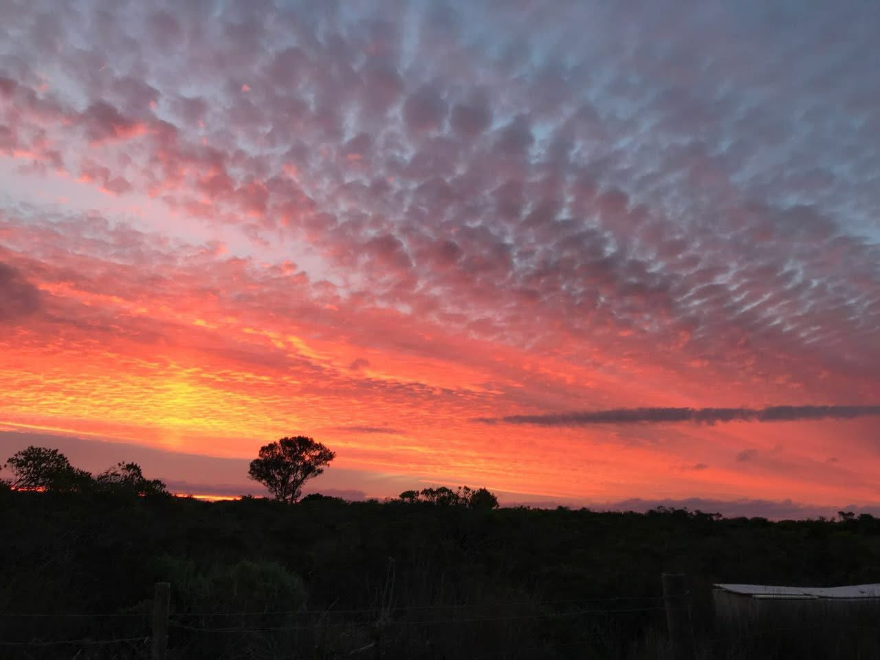 Eco-Retreat Couples Getaway at Unit Locum Ignis, Langverwacht by Rosegoldlife 🌿💫